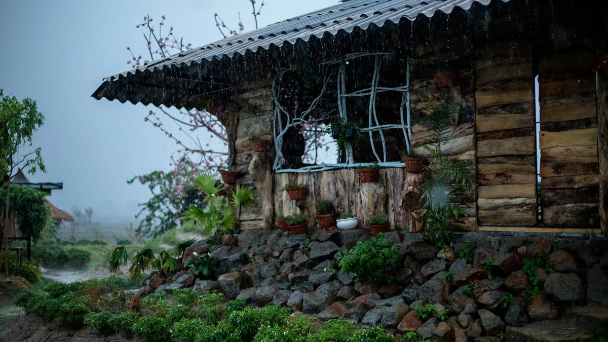 雨に濡れた住宅の外構まわりと足元のイメージ